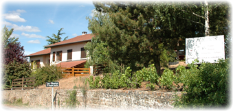 domaine chante vigne